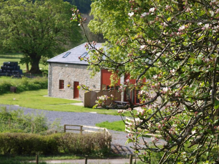 Peregrine Stable Cottage 兰达弗里 外观 照片